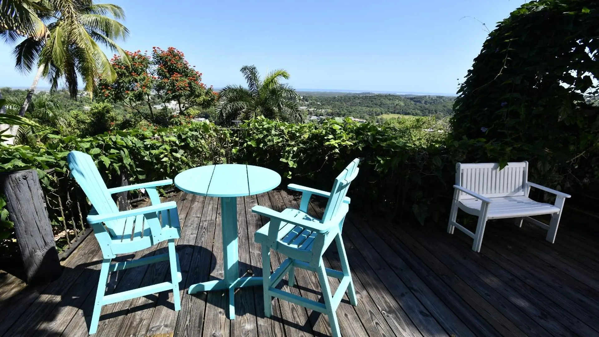 Bed & Breakfast Hacienda Siesta Alegre Bed and Breakfast Río Grande Puerto Rico